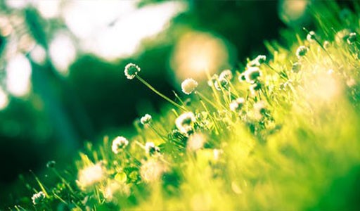 学生作品 | 星空中的希望